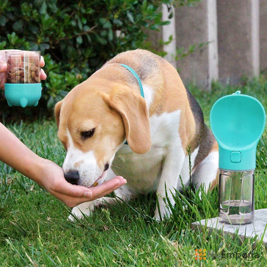 Multi-Pet Bottle - 3 in 1